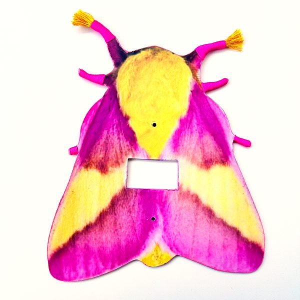 Espelho de tomada Mariposa Rosada - Imagem 2